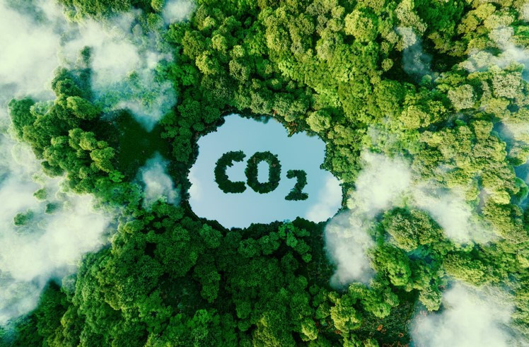 Le Vietnam vise la neutralité de carbone d’ici 2050. Photo : kinhtemoitruong.vn. Le Vietnam vise la neutralité de carbone d’ici 2050. Photo : kinhtemoitruong.vn.