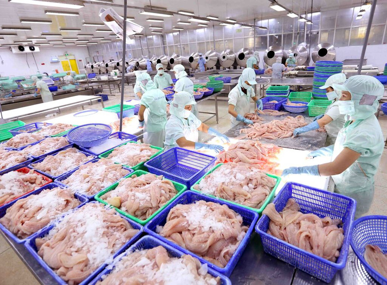Le marché à l’export des produits aquatiques du Vietnam sera plus stable au 2e semestre. Le marché à l’export des produits aquatiques du Vietnam sera plus stable au 2e semestre.