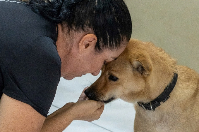 Carmen Le Roux partage un moment avec l'un des chiens sauvés à Thu Duc, Ho Chi Minh-Ville. Photo: Carmen Le Roux