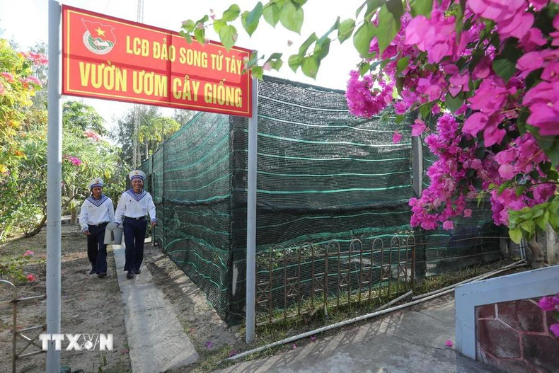 Chaque année, le jardin de semis de l'île de Song Tu Tay,... Chaque année, le jardin de semis de l'île de Song Tu Tay,...