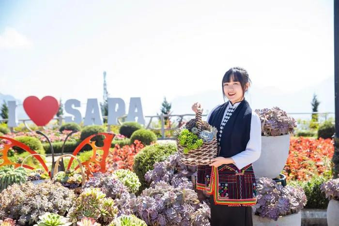En venant dans la zone touristique Sun World Fansipan Legend à cette occasion, les visiteurs seront immergés dans le Fête du lotus de pierre. Photo: PNVN.