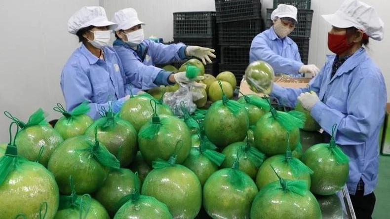De grandes opportunités s’ouvrent aux entreprises vietnamiennes sur le marché britannique ảnh 1 De grandes opportunités s’ouvrent aux entreprises vietnamiennes sur le marché britannique ảnh 1