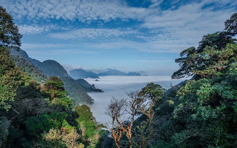 "Mer de nuages" vue du sommet du Nam Kang Ho Tao. "Mer de nuages" vue du sommet du Nam Kang Ho Tao.