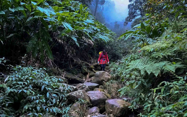 "Les 10 kilomètres qui nous séparaient du camp de base, situé à 1400 mètres d'altitude, nous ont demandé huit longues heures d'effort. Le froid glacial et la brume tenace ont rendu la nuit encore plus interminable", a expliqué Van Ngo, un explorateur. "Les 10 kilomètres qui nous séparaient du camp de base, situé à 1400 mètres d'altitude, nous ont demandé huit longues heures d'effort. Le froid glacial et la brume tenace ont rendu la nuit encore plus interminable", a expliqué Van Ngo, un explorateur.