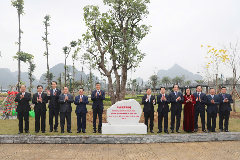 Cet arbre traduit également l’attachement spécial entre les peuples vietnamien et chinois. Photo: baoquangninh.vn. Cet arbre traduit également l’attachement spécial entre les peuples vietnamien et chinois. Photo: baoquangninh.vn.