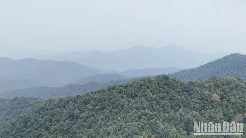 La forêt d'abricotiers séculaires fait partie du complexe paysager de Non Mai – Song Han. Photo : NDEL