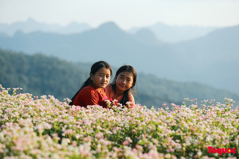 Ces dernières années, les fleurs de sarrasin ont été considérées comme l’un des principaux produits touristiques du plateau calcaire de Dong Van. Cette année, le 10ème Festival des fleurs de sarrasin s'est ouvert le 9 novembre dans le district de Dong Van. Ces dernières années, les fleurs de sarrasin ont été considérées comme l’un des principaux produits touristiques du plateau calcaire de Dong Van. Cette année, le 10ème Festival des fleurs de sarrasin s'est ouvert le 9 novembre dans le district de Dong Van.