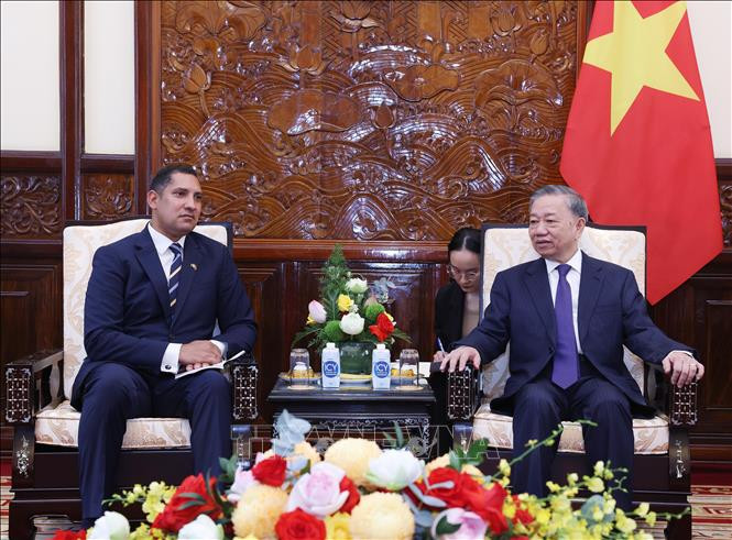 Rencontre entre l'ambassadeur de Suède au Vietnam, Johan Ndisi (à gauche), et le Secrétaire général du Parti communiste du Vietnam et Président vietnamien To Lam, le 12 août à Hanoi, après la cérémonie de remise des lettres de créance. Photo: VNA.
