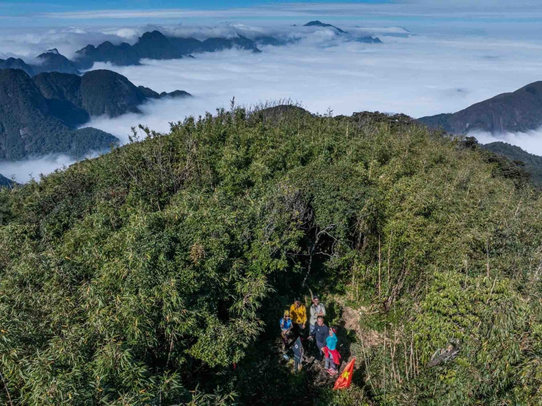 Ses forêts primaires, ses falaises vertigineuses et ses panoramas à couper le souffle en font un lieu unique. Ses forêts primaires, ses falaises vertigineuses et ses panoramas à couper le souffle en font un lieu unique.