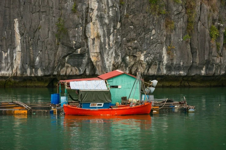 Une ferme piscicole dans la baie de Lan Ha. Photo: IStock. Une ferme piscicole dans la baie de Lan Ha. Photo: IStock.
