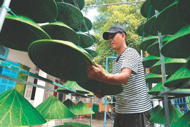 Avec une couche de vernis protecteur, après avoir été exposé au soleil, le chapeau en feuilles de lotus est désormais terminé. Avec une couche de vernis protecteur, après avoir été exposé au soleil, le chapeau en feuilles de lotus est désormais terminé.