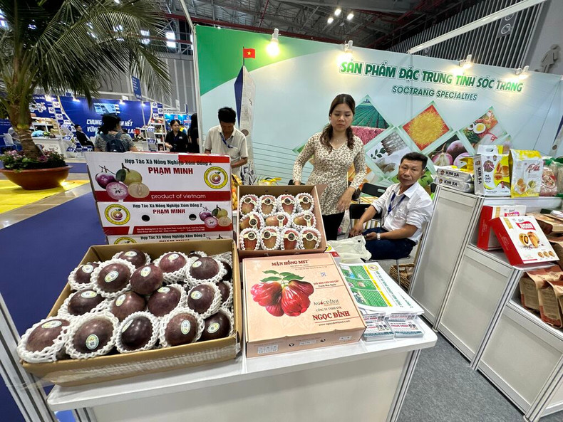 Les pommes étoilées de la coopérative agricole Xom Dông 2 sont présentées au public lors de la HCM City Expo 2024. Photo: CVN.