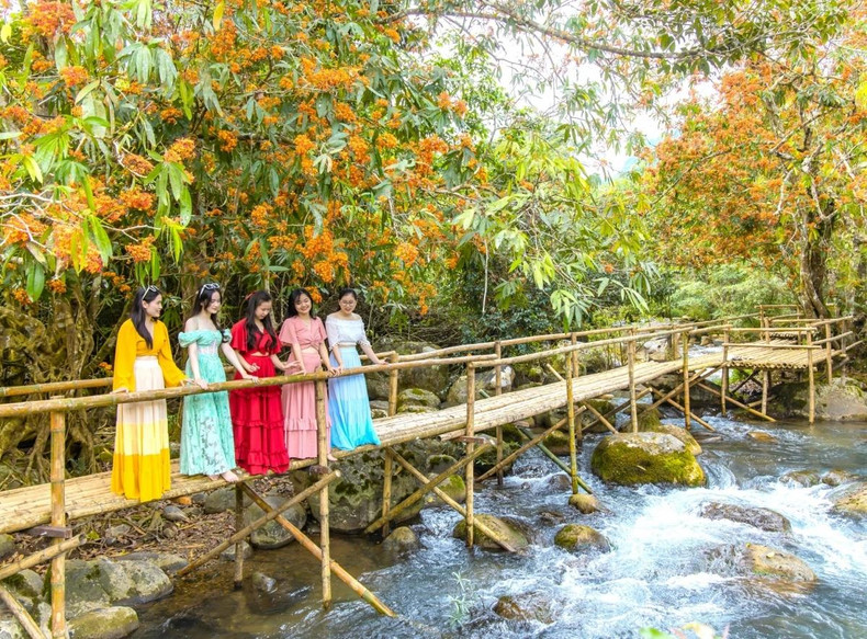 Selon le Comité de gestion du parc national de Phong Nha – Ke Bàng, la zone écotouristique du ruisseau Mooc abrite 1 081 espèces d'animaux et 2 560 de plantes. C'est la première destination écotouristique de la province de Quang Binh. L'objectif est de sensibiliser la population à la protection de l'environnement, de la nature et des sites patrimoniaux. Photo : VOV