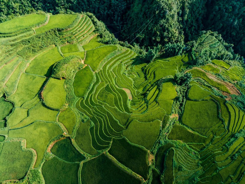 D'en haut, l'image de la vallée de Muong Hoa est tissée de douces bandes de soie verte mélangées aux couleurs paisibles des villages, aussi belle qu'un poème. Photo : TNO.