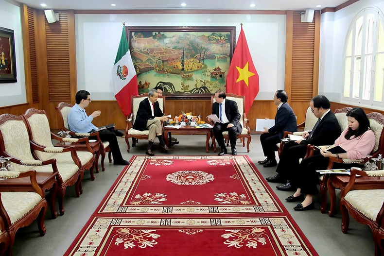 Les deux parties ont discuté des orientations de la coopération bilatérale dans les échanges culturels et artistiques. Cela est d’autant plus important que cette année marque la célébration du 50e anniversaire de l'établissement des relations diplomatiques entre le Vietnam et le Mexique. Photo : toquoc.vn Les deux parties ont discuté des orientations de la coopération bilatérale dans les échanges culturels et artistiques. Cela est d’autant plus important que cette année marque la célébration du 50e anniversaire de l'établissement des relations diplomatiques entre le Vietnam et le Mexique. Photo : toquoc.vn