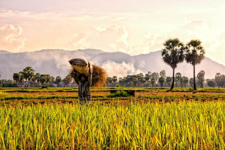 Photo : VnExpress. Photo : VnExpress.