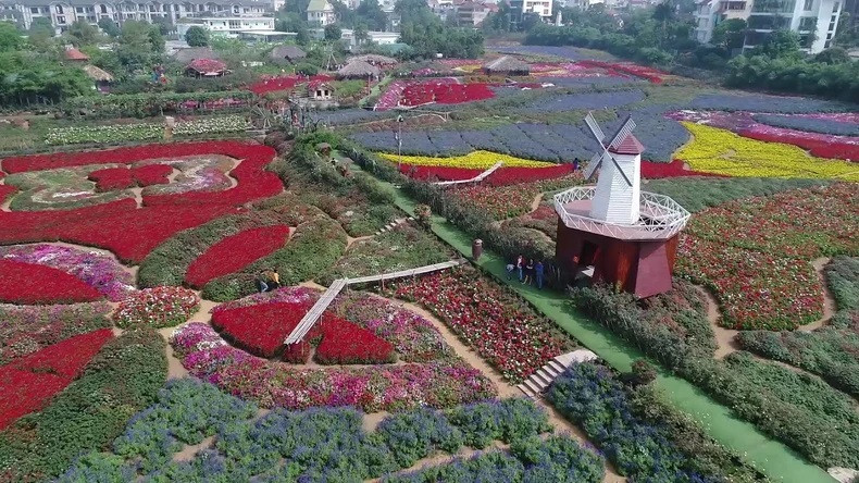 La vallée de fleurs de Hô Tây est une destination préférée des touristes. Photo : NDEL.