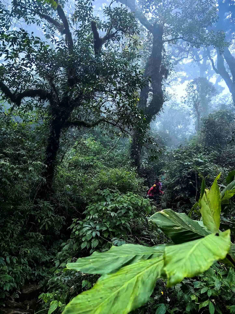 Cette montagne, véritable labyrinthe naturel, offre un trekking d'exception pour les amateurs de sensations fortes. Cette montagne, véritable labyrinthe naturel, offre un trekking d'exception pour les amateurs de sensations fortes.