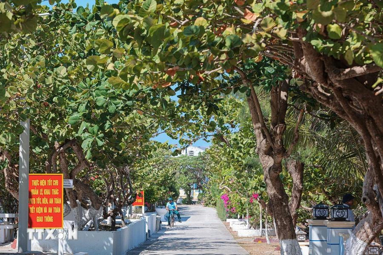 Routes ombragées sur l’île de Song Tu Tay. Routes ombragées sur l’île de Song Tu Tay.