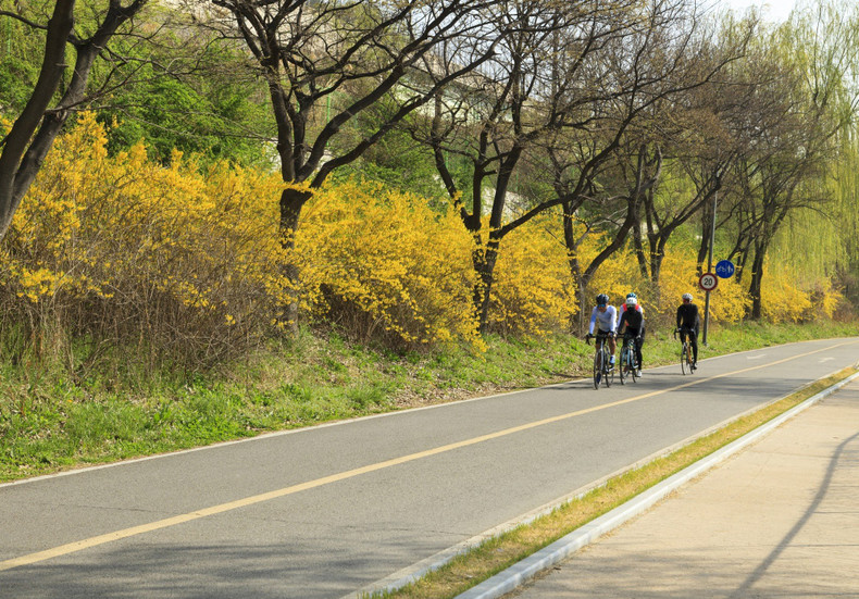 Quelque soit la saison à laquelle vous empruntez cet itinéraire, le parcours des Quatre Rivières vous émerveille par la beauté des paysages naturels. Photo : Shutterstock Images. Quelque soit la saison à laquelle vous empruntez cet itinéraire, le parcours des Quatre Rivières vous émerveille par la beauté des paysages naturels. Photo : Shutterstock Images.