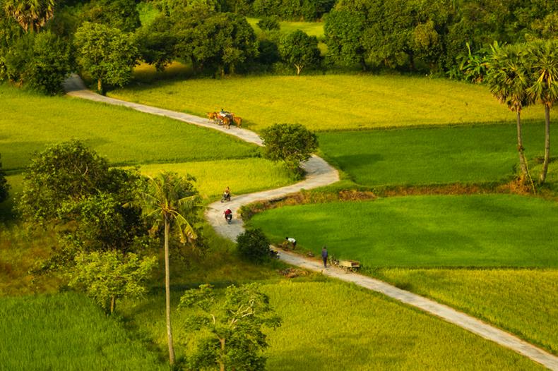 Selon M. Điền, Tà Pạ est actuellement à son apogée de beauté annuelle : les vastes champs rectilignes, d’un jaune éclatant, captivent les visiteurs. La photo montre un chemin sinueux bordé de rizières menant au cœur des champs. « La saison des récoltes est le moment idéal pour visiter An Giang et immortaliser ce paysage vibrant de vie », déclare M. Điền. Selon M. Điền, Tà Pạ est actuellement à son apogée de beauté annuelle : les vastes champs rectilignes, d’un jaune éclatant, captivent les visiteurs. La photo montre un chemin sinueux bordé de rizières menant au cœur des champs. « La saison des récoltes est le moment idéal pour visiter An Giang et immortaliser ce paysage vibrant de vie », déclare M. Điền.