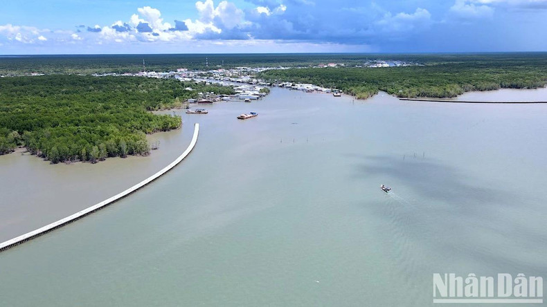 Pour limiter l'érosion littorale et le recul du trait de côte, la province de Ca Mau a investi dans la construction des digues de protection côtière. Photo : NDEL Pour limiter l'érosion littorale et le recul du trait de côte, la province de Ca Mau a investi dans la construction des digues de protection côtière. Photo : NDEL