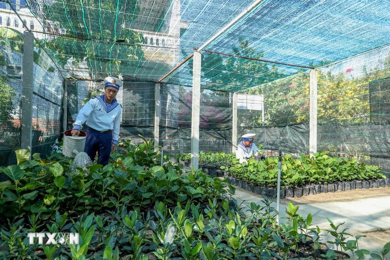 ...avec de nombreux types comme Barringtonia asiatica, Heliotropium foertherianum..., fournit à l'île et aux îles voisines plus de 6.000 plants, contribuant à rendre Truong Sa plus verte. ...avec de nombreux types comme Barringtonia asiatica, Heliotropium foertherianum..., fournit à l'île et aux îles voisines plus de 6.000 plants, contribuant à rendre Truong Sa plus verte.