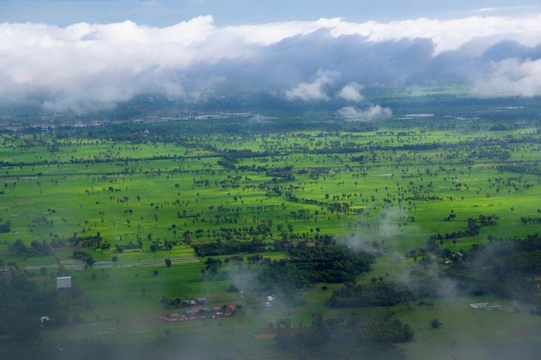 Le champ de Chi Lang est un endroit idéal lorsque la lumière du soleil filtre à travers les rangées de palmiers, une espèce emblématique d'An Giang. Photo : VnExpress. Le champ de Chi Lang est un endroit idéal lorsque la lumière du soleil filtre à travers les rangées de palmiers, une espèce emblématique d'An Giang. Photo : VnExpress.
