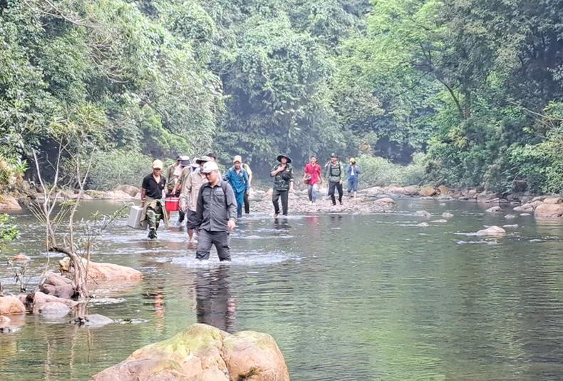 Le chemin vers la forêt d'abricotiers est assez difficile, il faut traverser des ruisseaux et des montagnes escarpées. Le trajet aller-retour peut durer une journée complète. Photo : Comité de gestion des forêts à usage spécial de Quang Tri