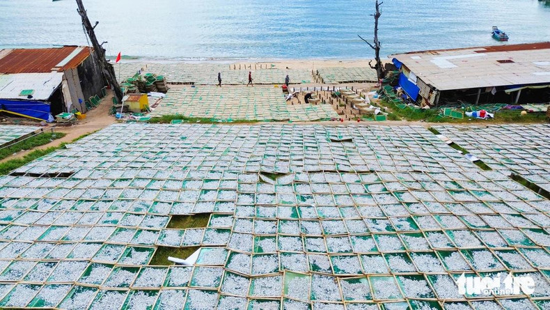 Un aperçu des activités de séchage de poisson au quartier d’An Thoi. (Photo: Chi Công)