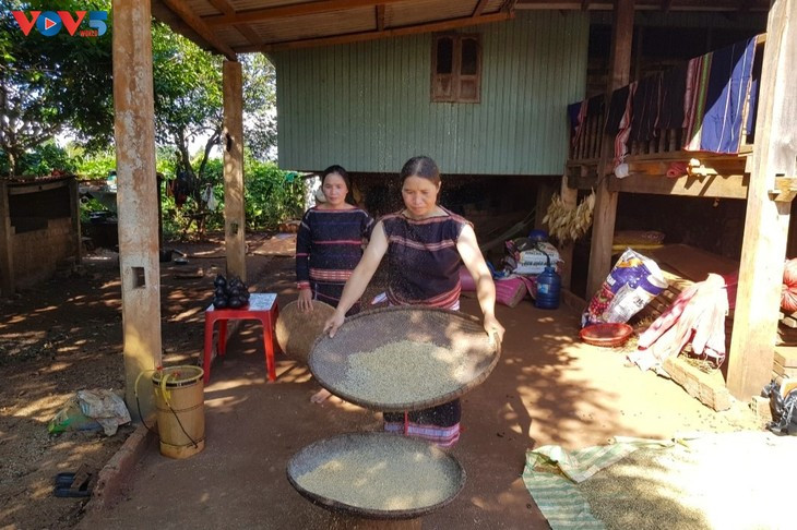 Les femmes Jrai tamisent le riz avec des paniers stressés. Photo : VOV.
