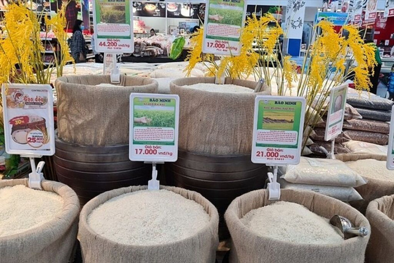 Le Vietnam s’efforçe de promouvoir la position de son industrie de riz sur la scène internationale, tout en se concentrant sur la création de sa propre marque de riz et le développement des variétés de riz parfumé et de haute qualité. Photo: VNA.