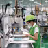 En 2025, le Vietnam figurait au 55e rang mondial en matière d’écosystème de start-up. Photo : VNA.