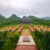 La province de Ninh Binh définit l'importance de la conservation de la biodiversité comme un élément clé de son site inscrit au patrimoine mondial. Photo : Vietnamnet.