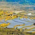 Rizières en terrasses dans la zone touristique de Pu Luong pendant la saison de mise en eau.
