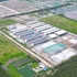Vue d'un secteur du cluster industriel Gia Thuan 1 (commune de Gia Thuan, province de Dong Thap).