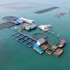 Ferme marine de haute technologie du groupe STP à Van Don, province de Quang Ninh. Photo : nhandan.vn