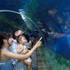 Des touristes apprécient de découvrir la vie marine au musée de l'Institut océanographique de Nha Trang. Photo : VNA.