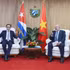 Le ministre des Affaires étrangères Lê Hoai Trung (gauche) et le Premier ministre cubain Manuel Marrero Cruz. Photo : VNA.