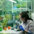 Développer l'industrie biotechnologique pour remplacer au moins 50 % des produits importés