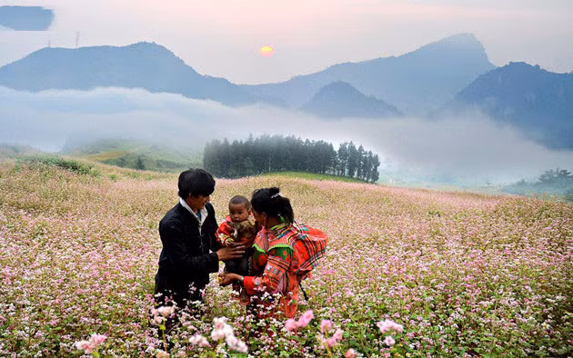 Le bonheur familial simple dans différentes régions du Vietnam ảnh 8