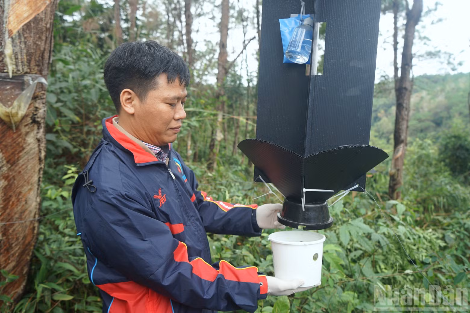 odcteur-nguyen-manh-ha.jpg