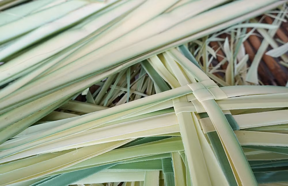 ka-tum-feuilles-angiang.jpg