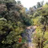La forêt à usage spécial de Ta Xua se distingue par une biodiversité remarquable. Photo : baosonla.vn 