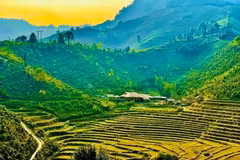 Certaines destinations photogéniques deviennent la coqueluche des réseaux sociaux, comme les rizières en terrasse dans la commune de Ban Liên, dans la province de Lào Cai. Photo : Vietnamtourism.