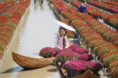Une touriste se fait prendre des photos au jardin de fleurs de Sa Dec, dans la province de Dông Thap. Photo : VNA.