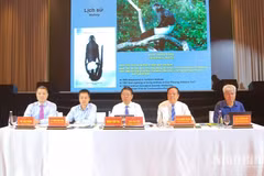 Les délégués lors du colloque. Photo : baoninhbinh.
