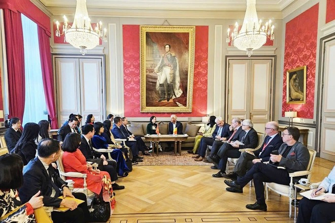 La vice-présidente de l'Assemblée nationale, Nguyen Thi Thanh, et le premier vice-président du Sénat belge, Andries Gryffoy, lors de leurs entretiens. Photo : daibieunhandan.vn ht.jpg