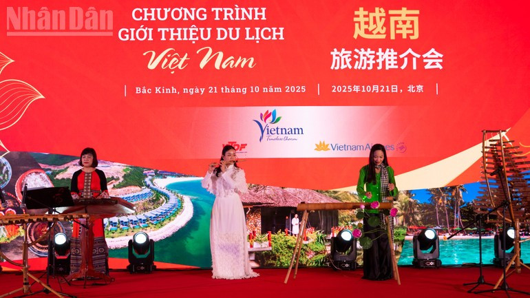 Des artistes vietnamiens ont interprété des instruments de musique traditionnels. bd.jpg
