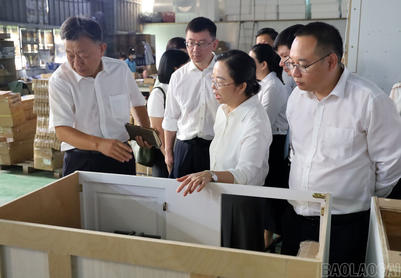 La délégation chinoise en visite de terrain dans la zone industrielle du Sud - l’un des pôles économiques majeurs de Lao Cai. Photo : NDEL. tham.jpg